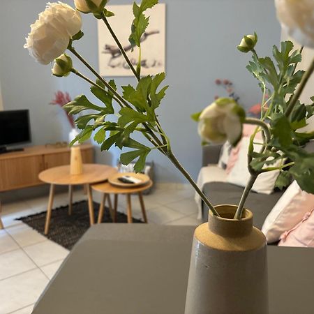 亚历山德鲁波利斯Blooming 31 Axd公寓 外观 照片